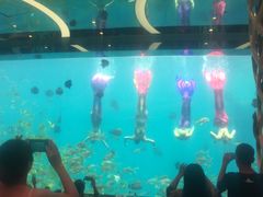 -瑞德姆美人鱼海底演艺主题餐厅(亚龙湾店)