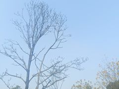 -成都仁和新城购物中心