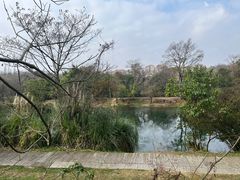 -贵阳市花溪国家城市湿地公园