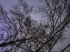 -济南野生动物世界