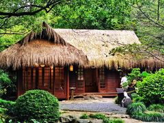 -中国茶叶博物馆(双峰馆区)