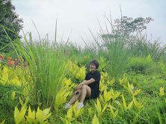 -桤木河湿地公园