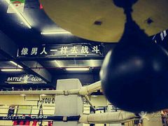 -鲨石格斗联盟(双井店)