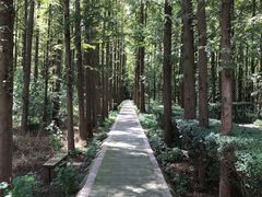 -同里国家湿地公园