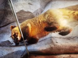 -Zoolung Zoolung动物主题公园(海信广场店)