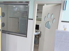 -佳雯宠物医院·皮肤科·内外科(春晓路分院)