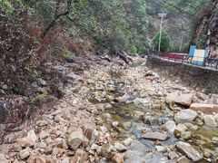 -九龙江国家森林公园