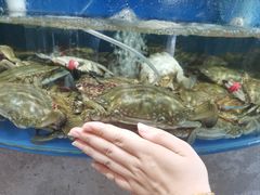 -蓝珊海鲜澳洲和牛自助餐厅