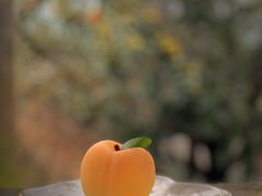 -自如ZSPACE四合院艺术餐厅