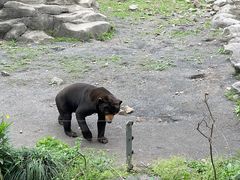 -宁波野生动物园