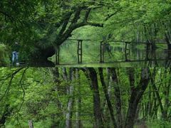 -西溪南古村落景区