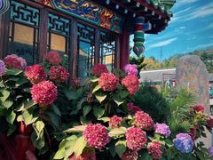 -湛山寺