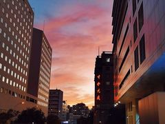 -Wagas沃歌斯(北京君太百货店)