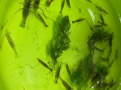 -九里河湿地公园