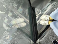 -平安金融中心云际观光层