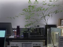 -野鸽子咖啡(中航店)