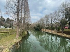 -昆山城市生态森林公园