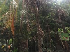 -龙达温泉生态城