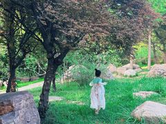 -洛阳市隋唐城遗址植物园