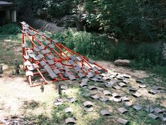 -北京西山国家森林公园