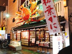 -蟹道乐(道顿堀本店)