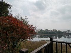 -上海市保健医疗中心