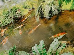 -罗红摄影艺术馆