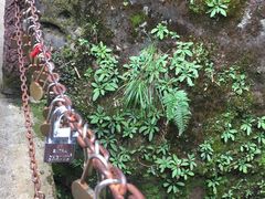 -武夷山风景名胜区-虎啸岩
