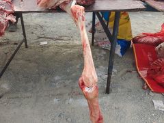 -蒲河大集