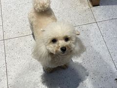 -FAELING PETS美天灵宠物(富力广场店)