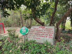 -上海佘山国家森林公园天马山园