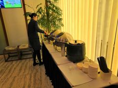 -虹桥机场国航贵宾室v8