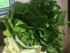 -探窝·竹笙椰子鸡(杨箕店)