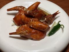 -觅唐MITONG(鸟巢店)