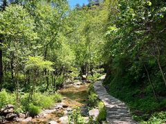 -玉渡山自然风景区