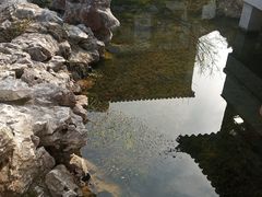 -东山雕花楼