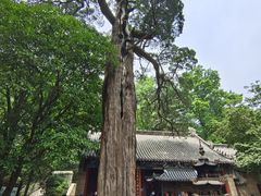 -青岛崂山太清宫