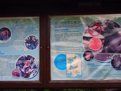 -狮子山郊野公园