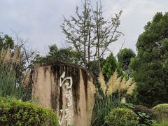 -白鹭湾湿地公园