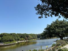 -东莞植物园