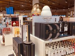 -谢列梅捷沃国际机场