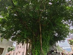 -三溪村