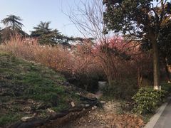 -太子山公园(园东路)