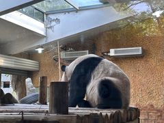 -常州淹城野生动物世界