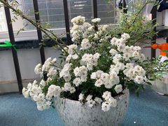 -爱乐蒙艺术·古筝 钢琴 声乐(科华校区)