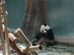 -青藏高原野生动物园