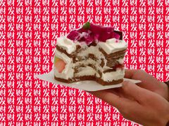 澳洲优乳蛋糕-卡滋贝诺动物奶油生日蛋糕(支塘工匠店)