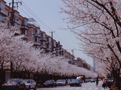 -永乐路-路侧停车场