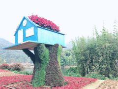 -广州市石门国家森林公园