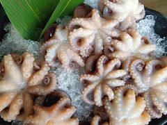 -马家斑.鲜鱼火锅(松湖万科店)